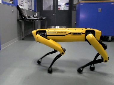 ドアを開けられる犬型ロボットが開けられないロボットを助ける