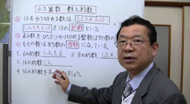 【小５算数】数と約数