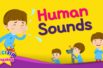 Human Sounds <Kids vocabulary>
