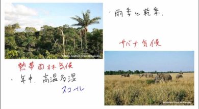 【中学校地理コース　02-11】気候区分:熱帯