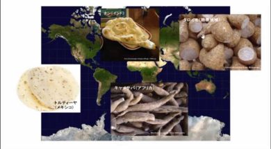 【中学校地理コース　03-2】世界の食