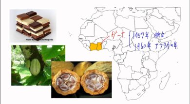 【中学校地理コース　08-2】アフリカの国々