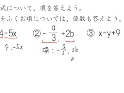 【中1数学　05-1】項と係数