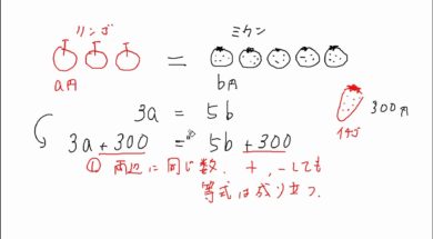 【中1数学　06-2】等式の性質