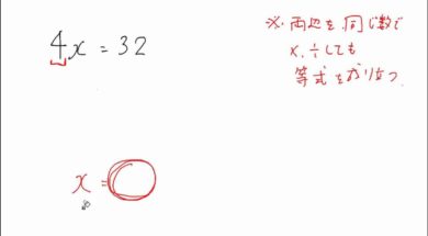 【中1数学　06-5】両辺を乗除して解く