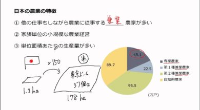 【中学校地理コース　12-5】日本の農業①