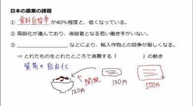 【中学校地理コース　12-6】日本の農業②
