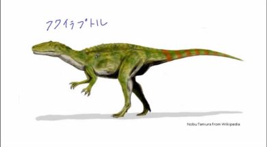 【中学校地理コース　15-4】福井県