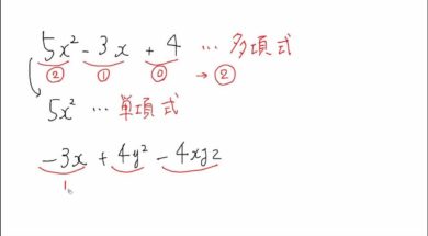 【中2数学　01-1】式と次数