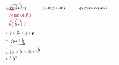 【中3数学　01-1】文字の入った分配法則