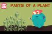Parts Of A Plant.