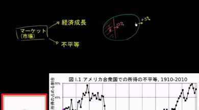 10. 資本の成長と不平等の可能性を収入と結びつける