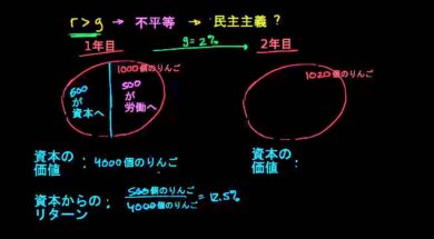 11. r が g よりも大きいが，不平等ではない場合