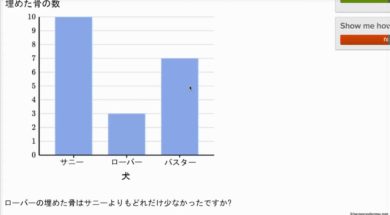 棒グラフを読む: 犬の骨