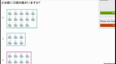 クジラと羊と花を数える