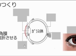 【中学2年・理科　4-2】感覚器官