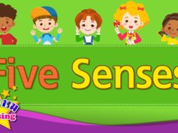 Kids vocabulary – Five Senses – Learn English for kids
