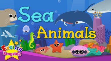 Kids vocabulary – Sea Animals