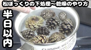 短時間で出来る松ぼっくりの下処理の方法