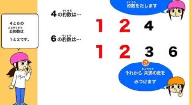 約数を学ぼう！　小学校5年生　算数