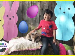 Easter Egg hunt for kids at Farm with Ryan’s family review