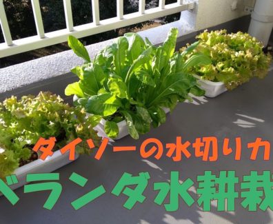 【水耕栽培】栽培容器のつくりかた