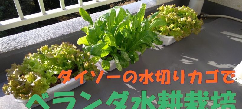 【水耕栽培】栽培容器のつくりかた
