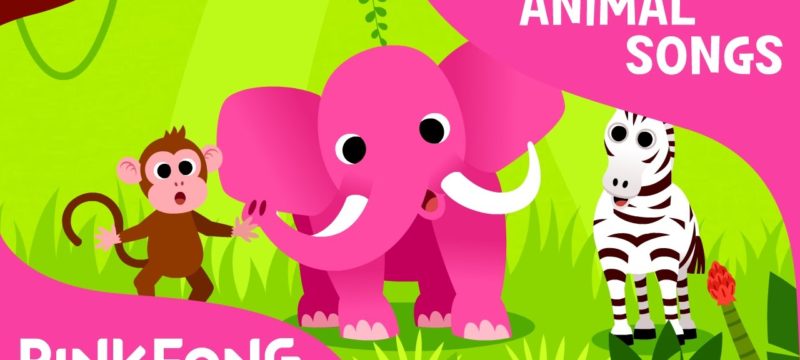 Animals, Animals