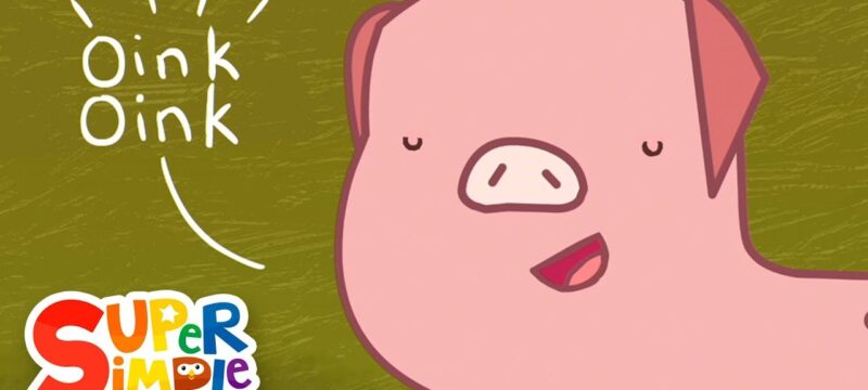 Animal Classification: The Vertebrates Song